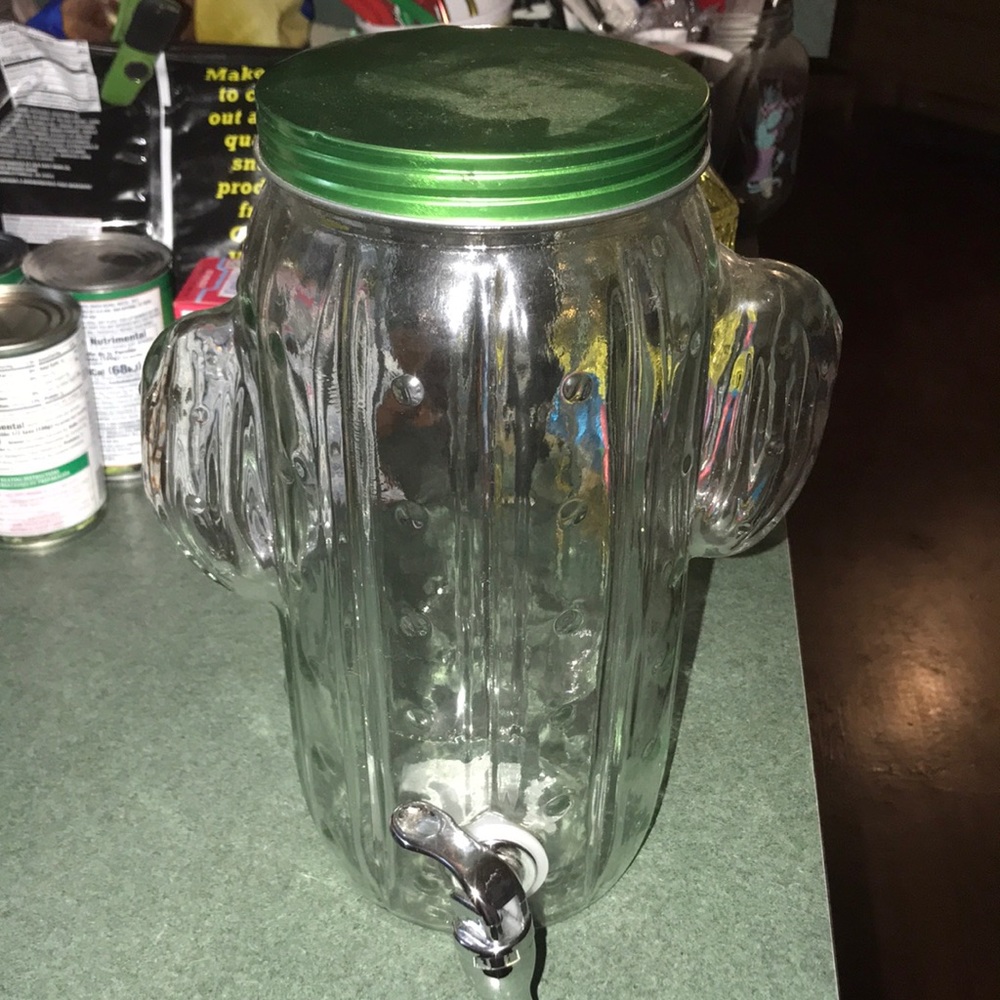 Cactus water pitcher